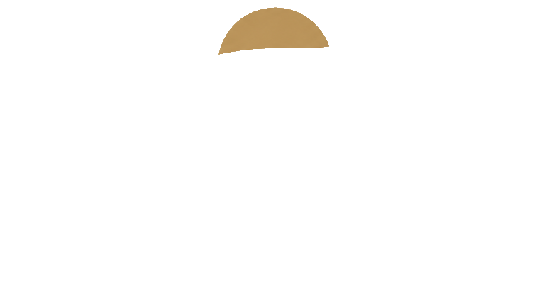 Brito's Travel & Multiservices